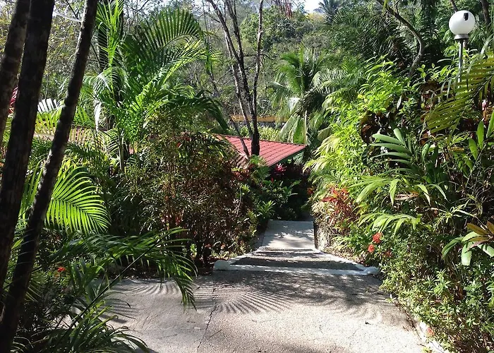 El Sueno Tropical